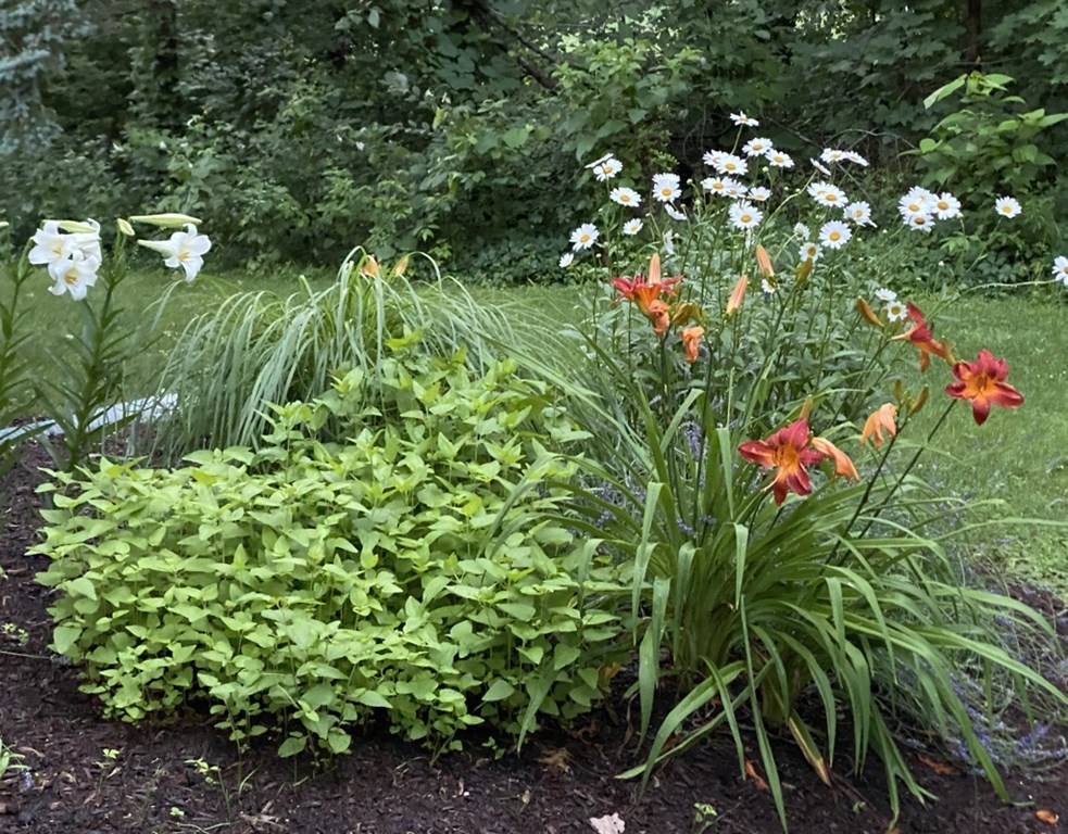 334 North Road Bedford, MA 01730 - Photo 39 of 40 Gallery Image 39