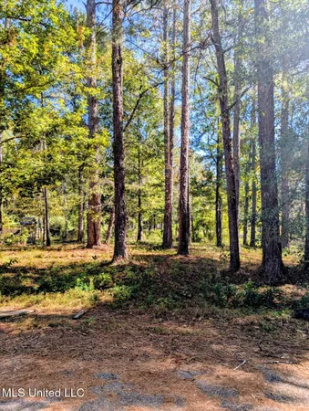 $20,000 | Norrell Drive, Petal, MS 39465