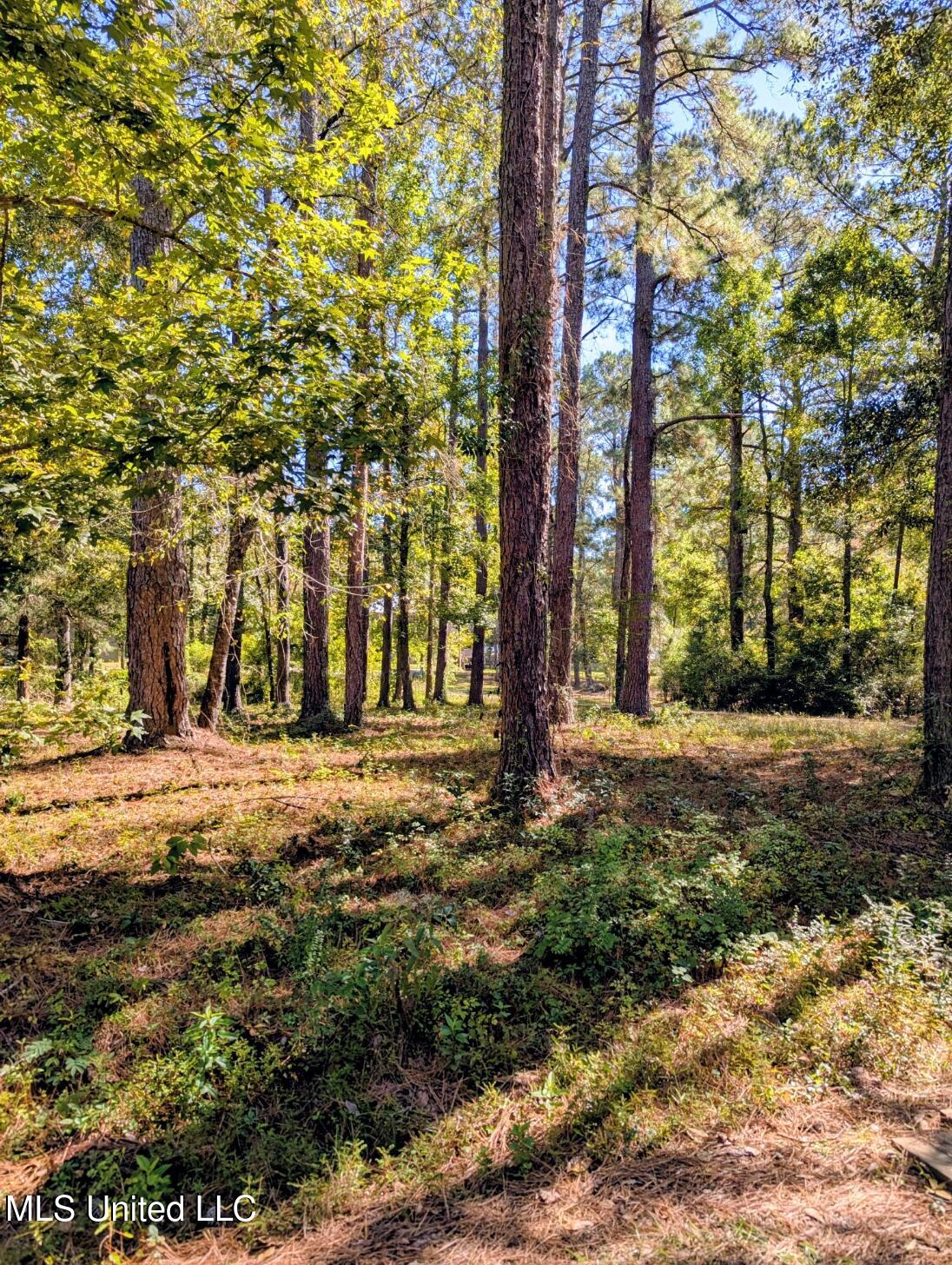 Norrell Drive Petal, MS 39465 - Photo 2 of 5 PXL_20251105_170613722~2