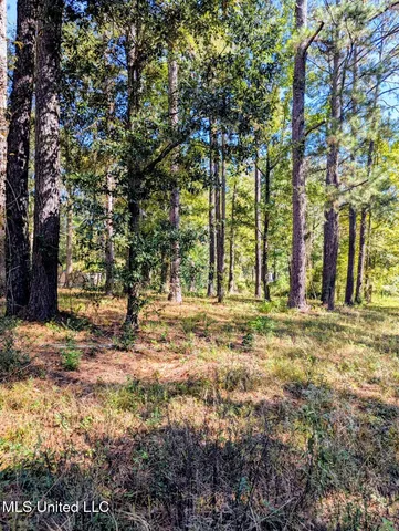 $20,000 | Norrell Drive, Petal, MS 39465