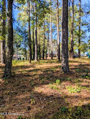 $20,000 | Norrell Drive, Petal, MS 39465