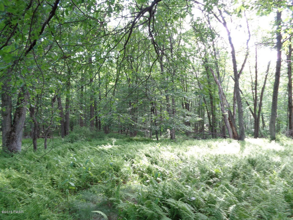 451 Rowland Road Greeley, PA 18425 - Photo 22 of 28 Acreage View