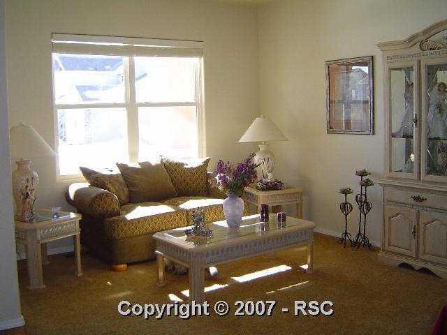 49 Avocet Loop Colorado Springs, CO 80921 - Photo 6 of 11 Gallery Image 6