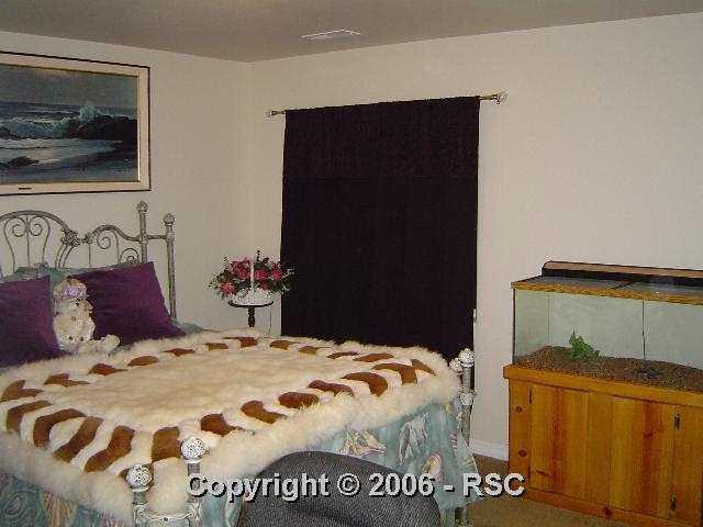 49 Avocet Loop Colorado Springs, CO 80921 - Photo 10 of 11 Gallery Image 10