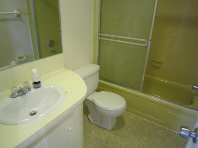 10149 Windtree Lane Boca Raton, FL 33428 - Photo 10 of 11 Guest bath