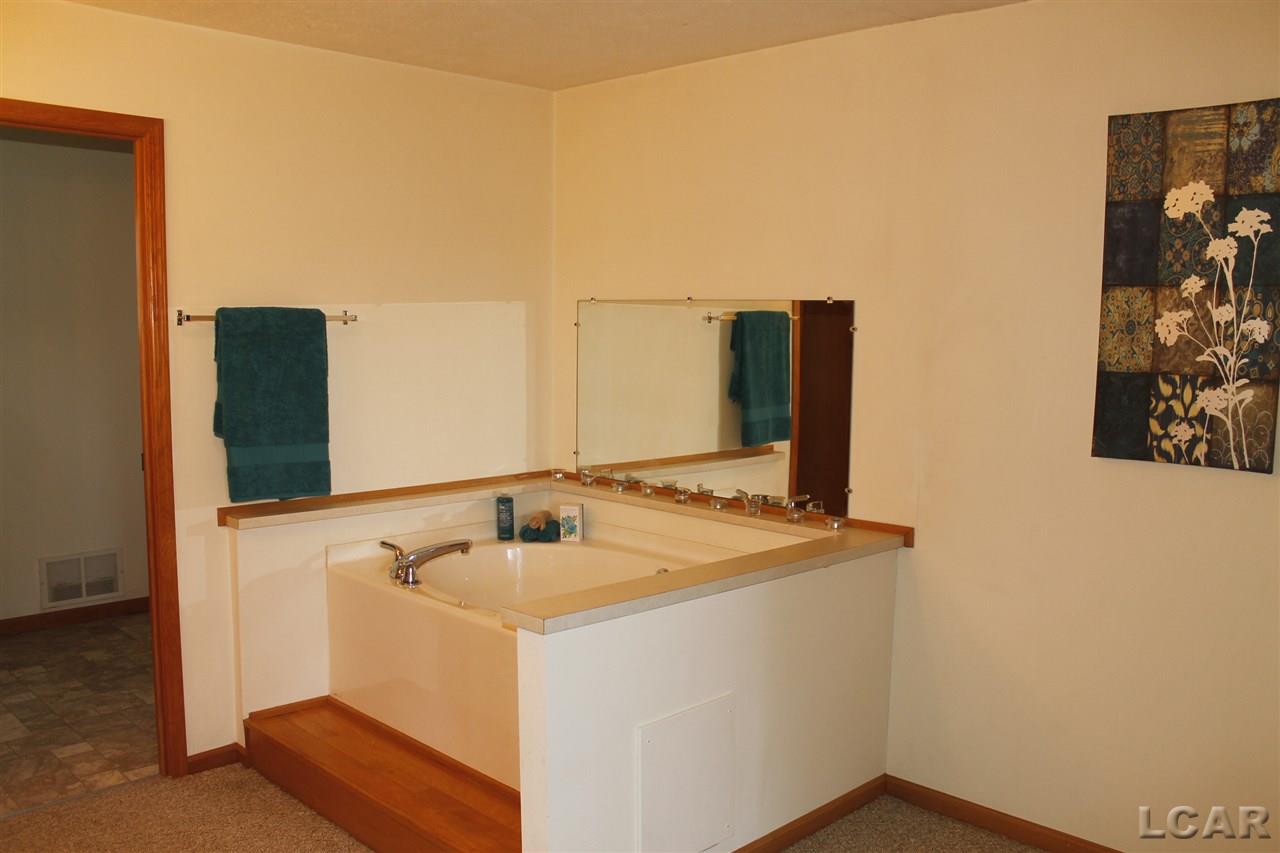 6719 Pocklington Road Britton, MI 49229 - Photo 15 of 32 With Jetted Tub