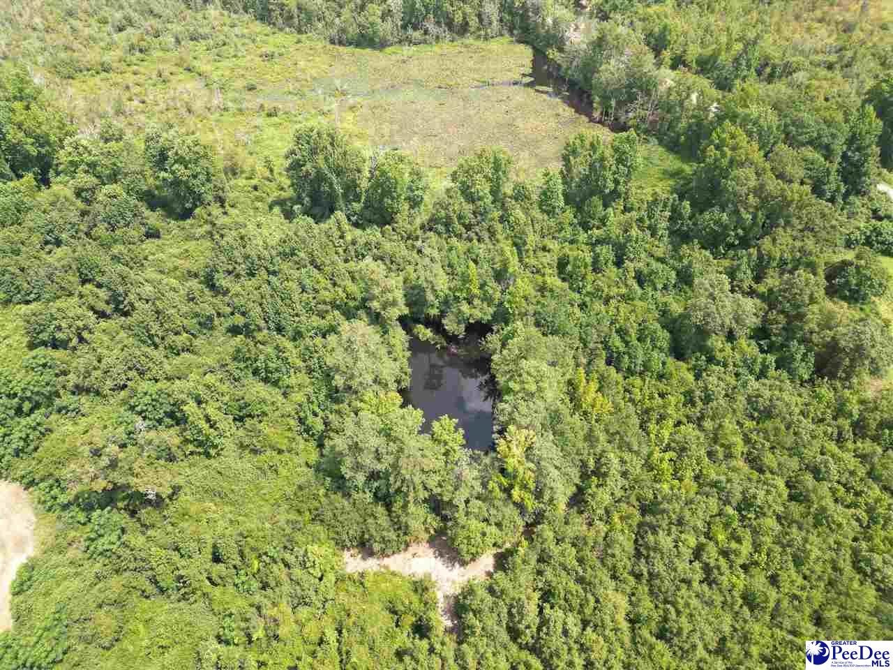 20-acres Manantial Road Lamar, SC 29069 - Photo 10 of 11 Gallery Image 10