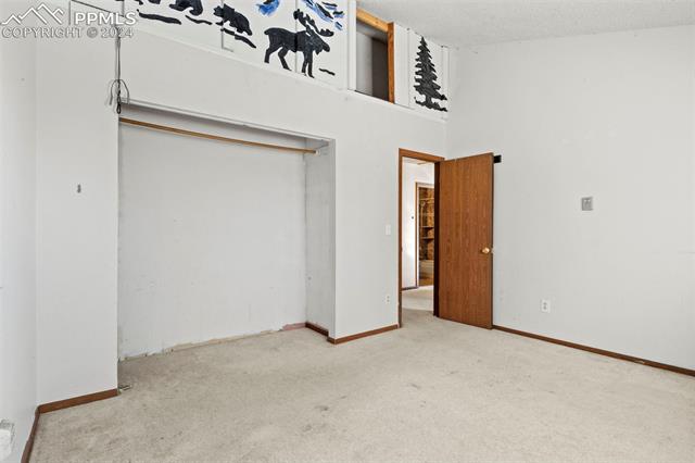 371 Rangeview Road Divide, CO 80814 - Photo 28 of 34 Bedroom with Hideaway