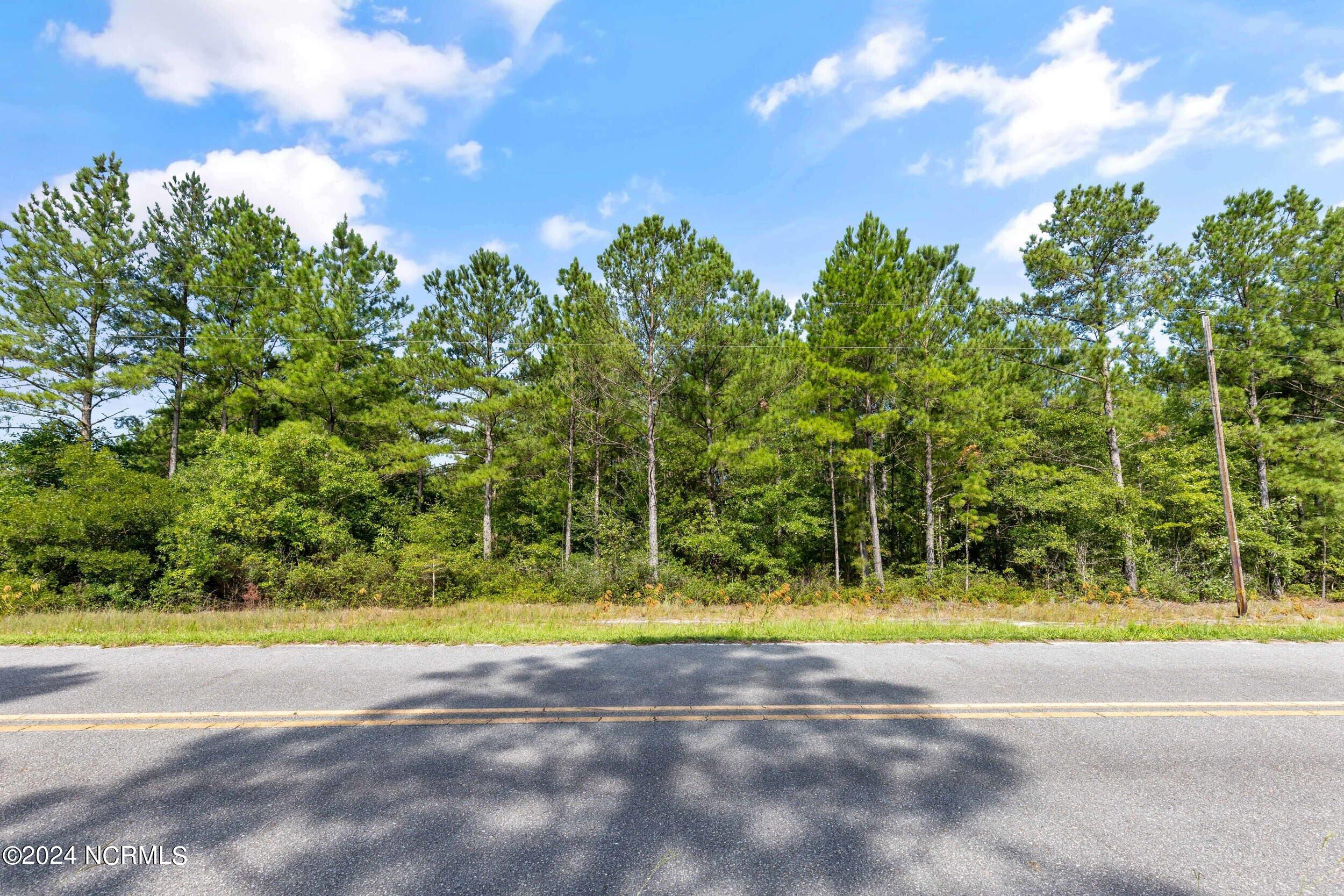 1 Lizzie Henry Road Ivanhoe, NC 28447 - Photo 4 of 15 lizziehenryrd_00015