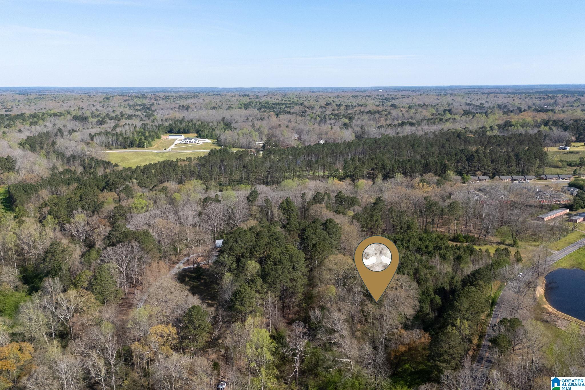 358 Blackwell Dairy Road Jasper, AL 35501 - Photo 12 of 22