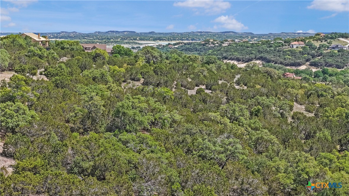 358 Blackbird Drive Spring Branch, TX 78070 - Photo 11 of 21 a view of a city with lush green forest