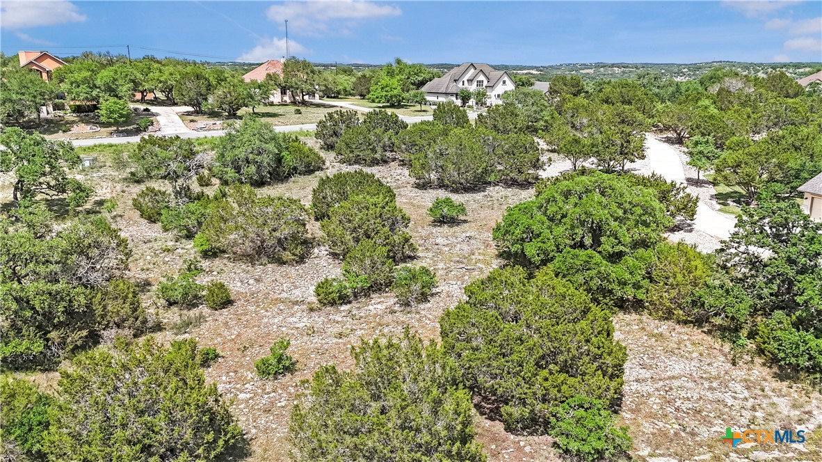 358 Blackbird Drive Spring Branch, TX 78070 - Photo 12 of 21 a view of a garden with a building