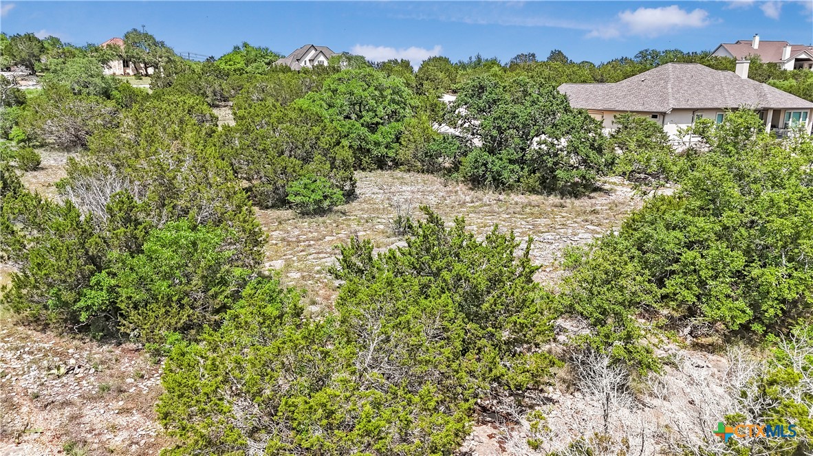 358 Blackbird Drive Spring Branch, TX 78070 - Photo 13 of 21 a view of a house with a yard and sitting area