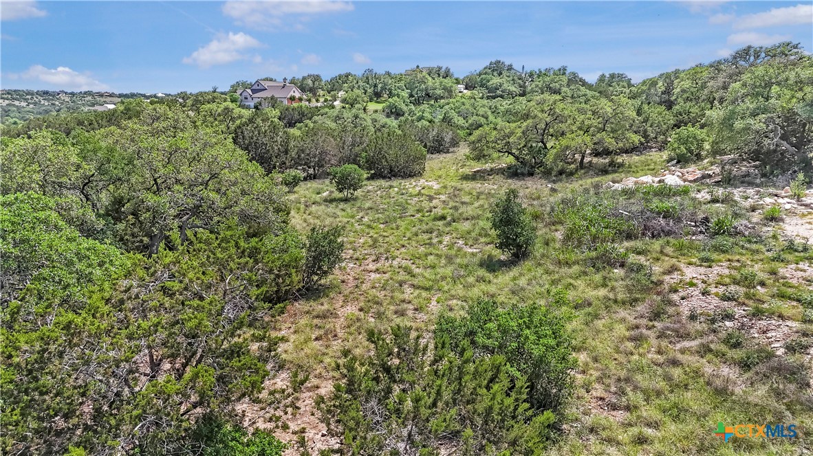 358 Blackbird Drive Spring Branch, TX 78070 - Photo 14 of 21 a view of a garden with a building