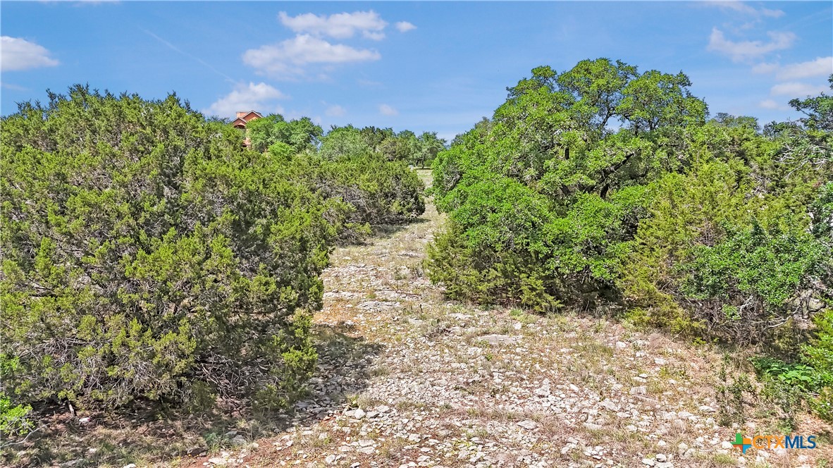 358 Blackbird Drive Spring Branch, TX 78070 - Photo 15 of 21 a view of a garden with plants