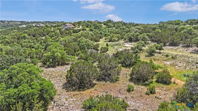 a view of a forest with a street