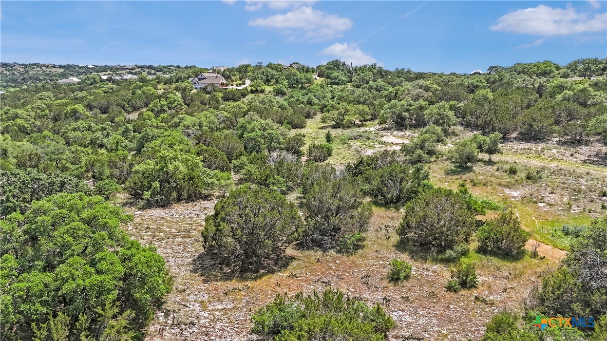 358 Blackbird Drive Spring Branch, TX 78070 - Photo 16 of 21 a view of a forest with a street