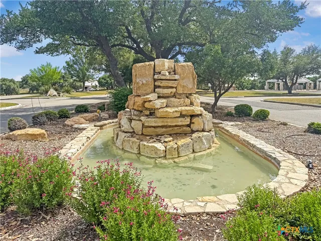 a view of a tree with a yard