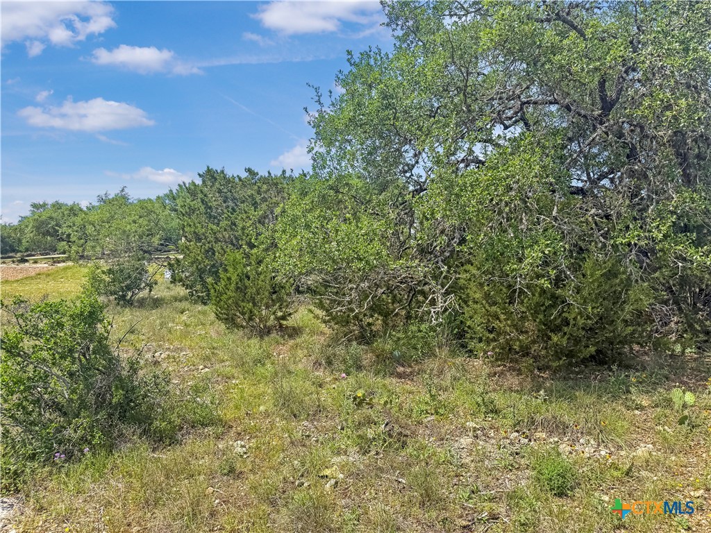 358 Blackbird Drive Spring Branch, TX 78070 - Photo 3 of 21 a view of a yard with a tree