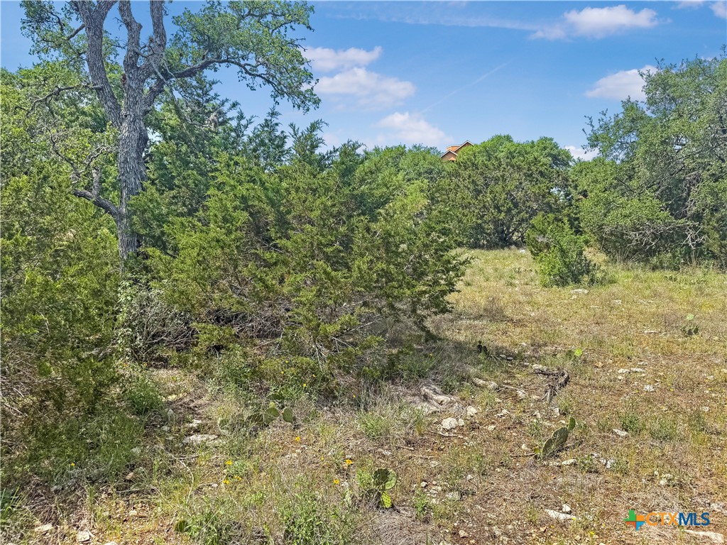 358 Blackbird Drive Spring Branch, TX 78070 - Photo 7 of 21 a view of a bunch of trees and bushes