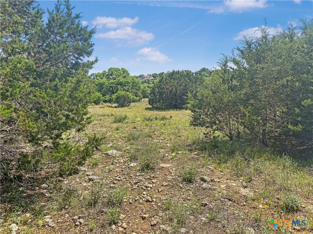 358 Blackbird Drive Spring Branch, TX 78070 - Photo 9 of 21 a view of a yard with plants and a bench