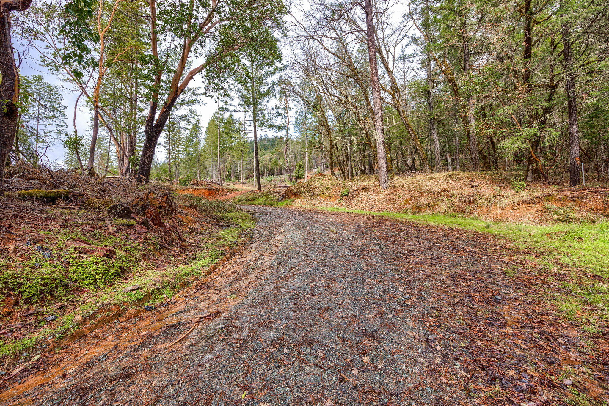200 Hog Creek Road Merlin, OR 97532 - Photo 14 of 26 2-web-or-mls-HCR (2)