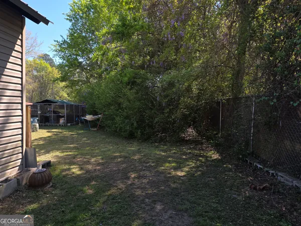 a view of a large yard with plants and large trees