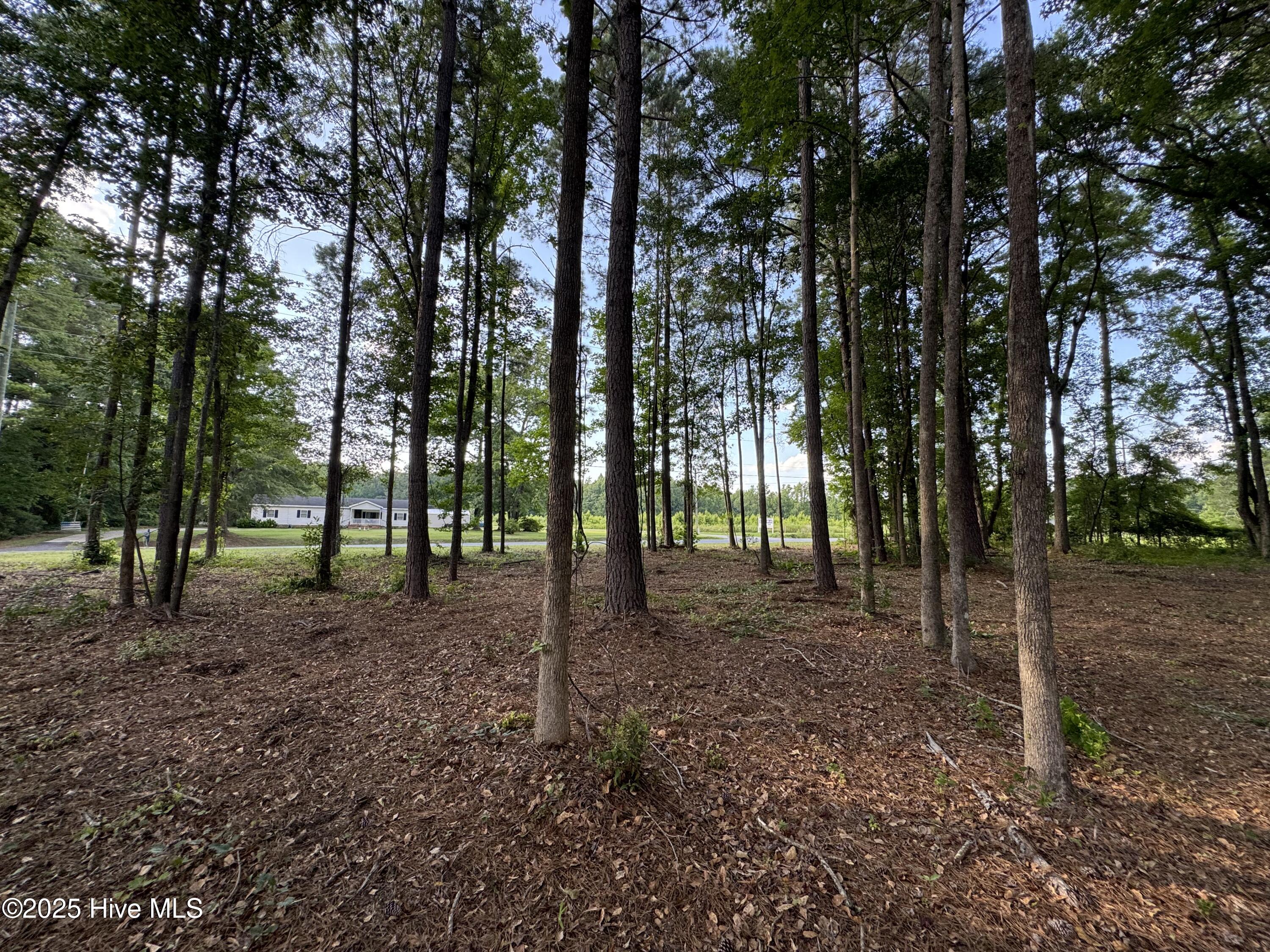 1672 Slatestone Road Washington, NC 27889 - Photo 4 of 12 IMG_7339