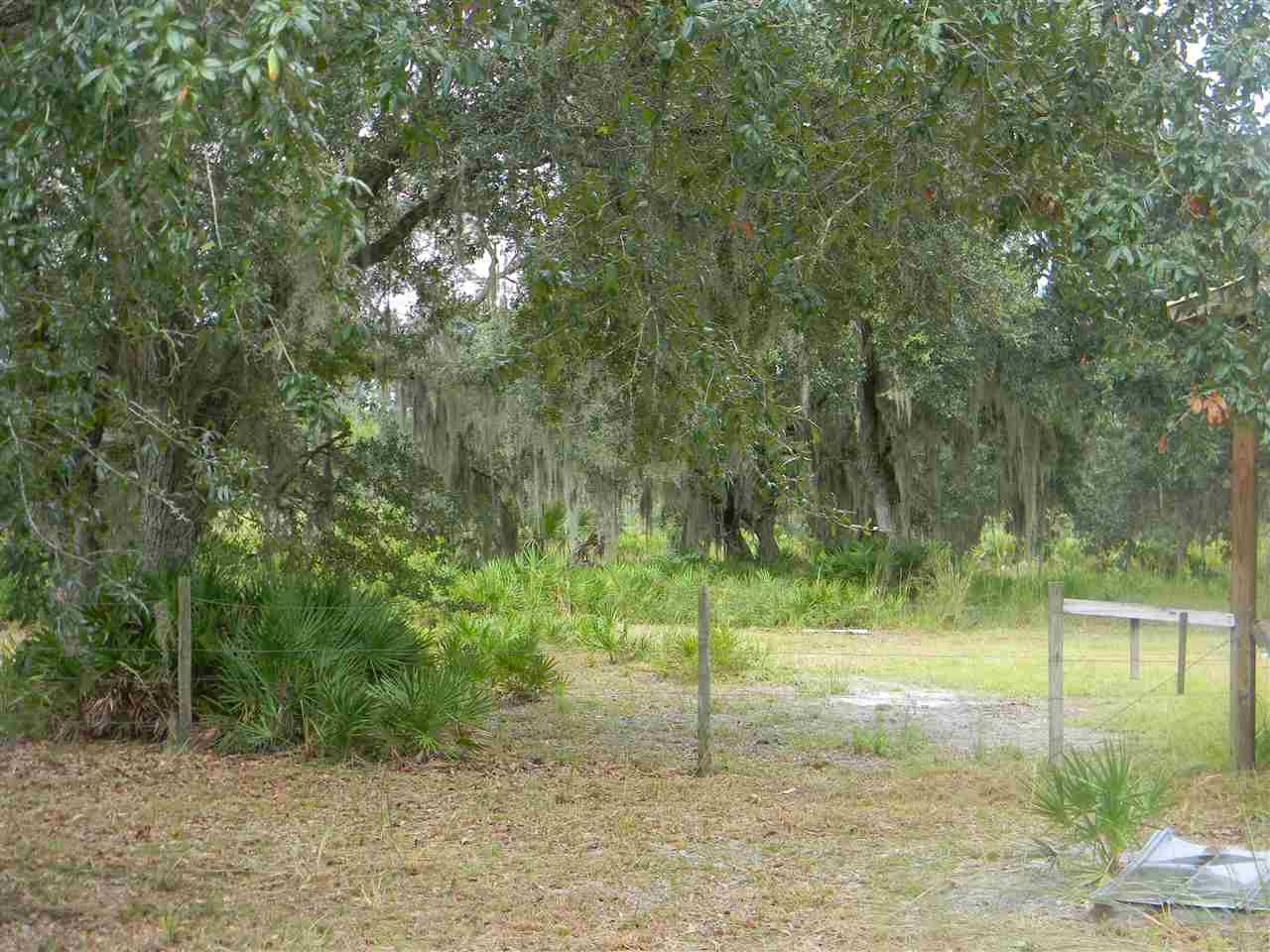 2088 Ma Dixon Road Perry, FL 32348 - Photo 5 of 15 Gallery Image 5