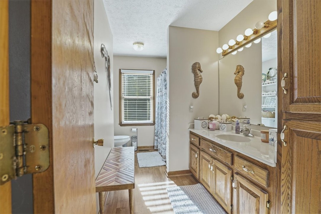 211 Cedar Ridge Drive Westminster, SC 29693 - Photo 11 of 34 An expansive vanity mirror and wood cabinetry anchor this classic bathroom space.