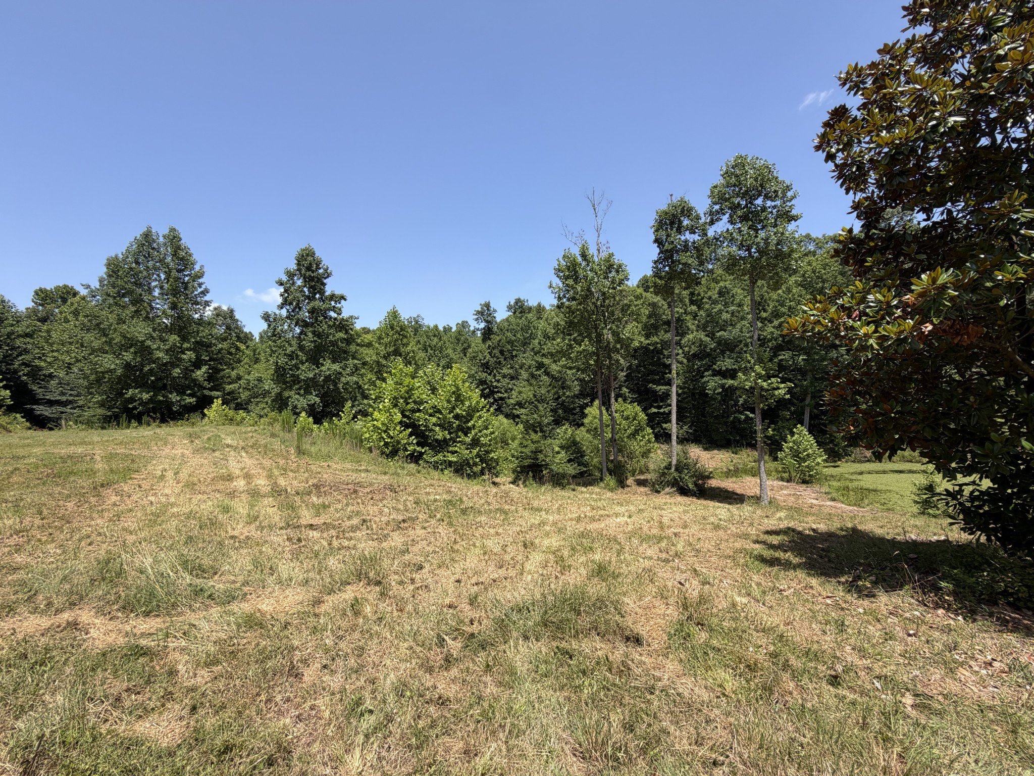 215 Bar Bee Road Hohenwald, TN 38462 - Photo 12 of 51