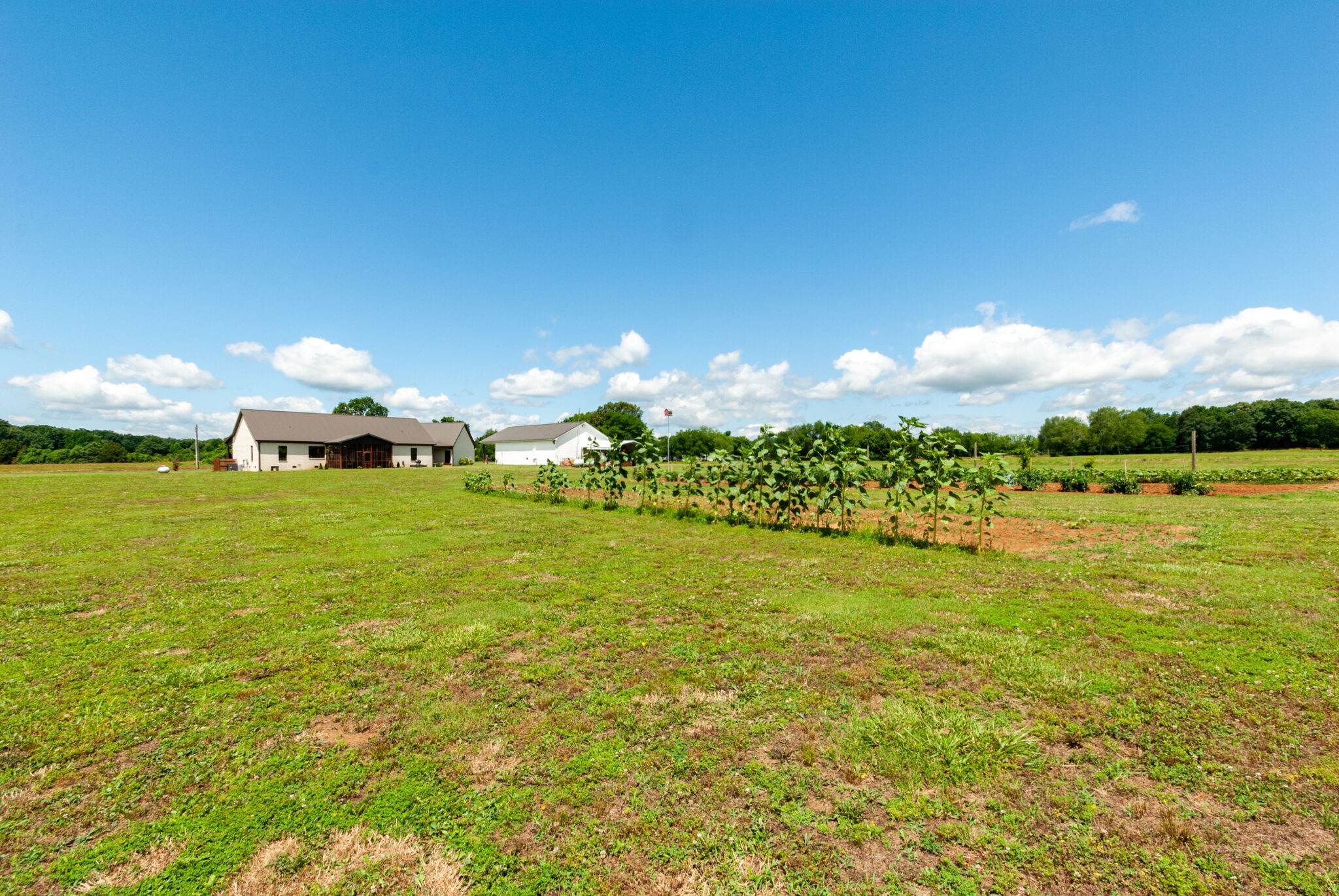 32090 Ardmore Ridge Road Ardmore, TN 38449 - Photo 38 of 38 a view of an ocean from a yard