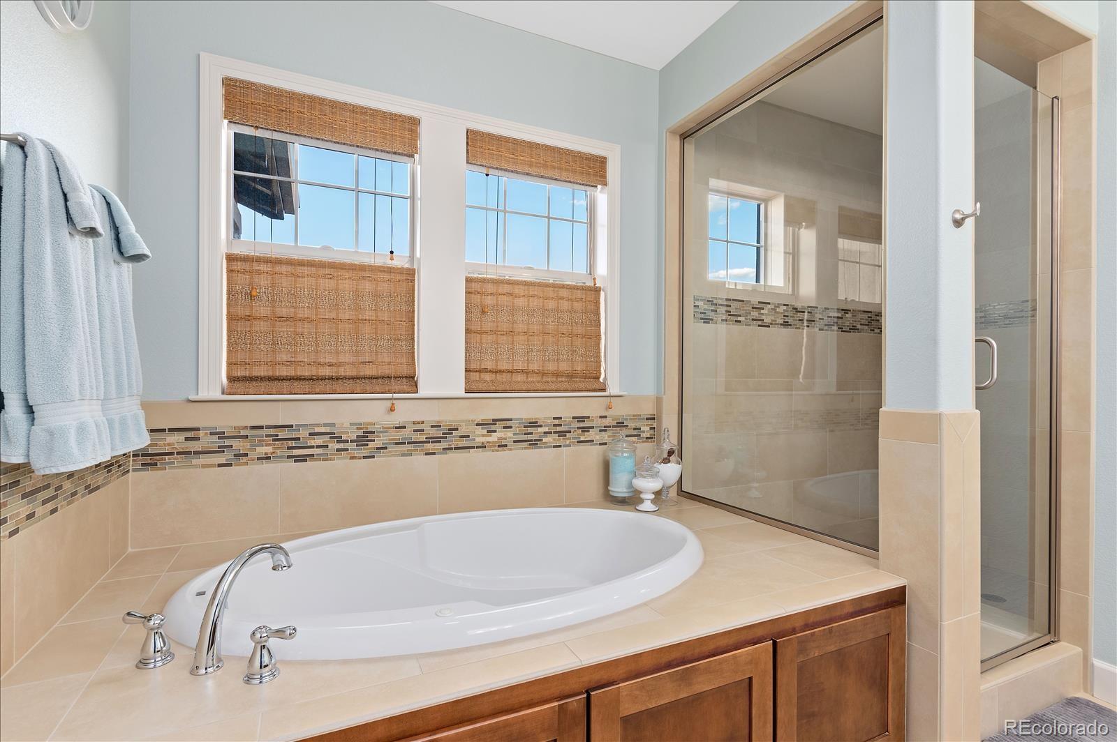 10654 Sundial Rim Road Highlands Ranch, CO 80126 - Photo 17 of 40 a bathroom with a tub sink and shower