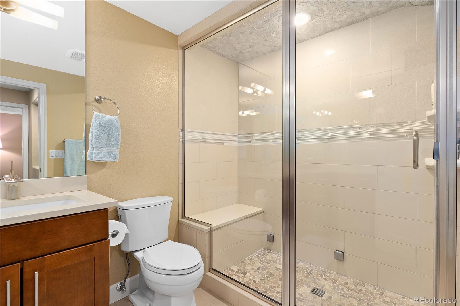 10654 Sundial Rim Road Highlands Ranch, CO 80126 - Photo 29 of 40 a bathroom with a shower a toilet and a sink