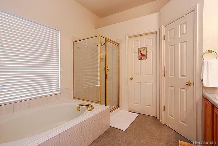 467 Sylvestor Trail Highlands Ranch, CO 80129 - Photo 16 of 25 Gallery Image 16
