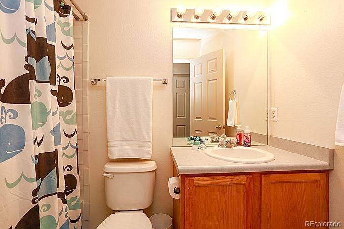 467 Sylvestor Trail Highlands Ranch, CO 80129 - Photo 19 of 25 Gallery Image 19