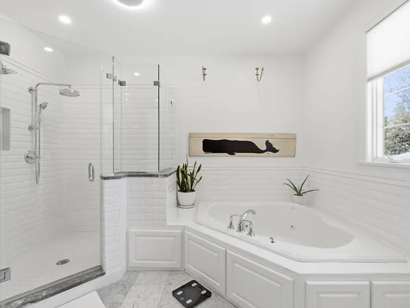 a bathroom with a bathtub and a shower
