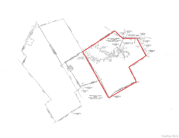 a picture of a flower garden