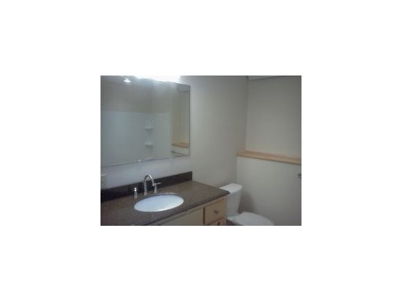 45 Deer Lake Road Windsor, NY 13865 - Photo 17 of 20 Gallery Image 17