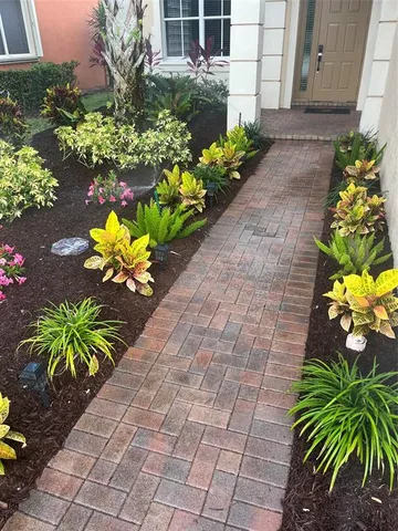 a flowers in a yard with flowers