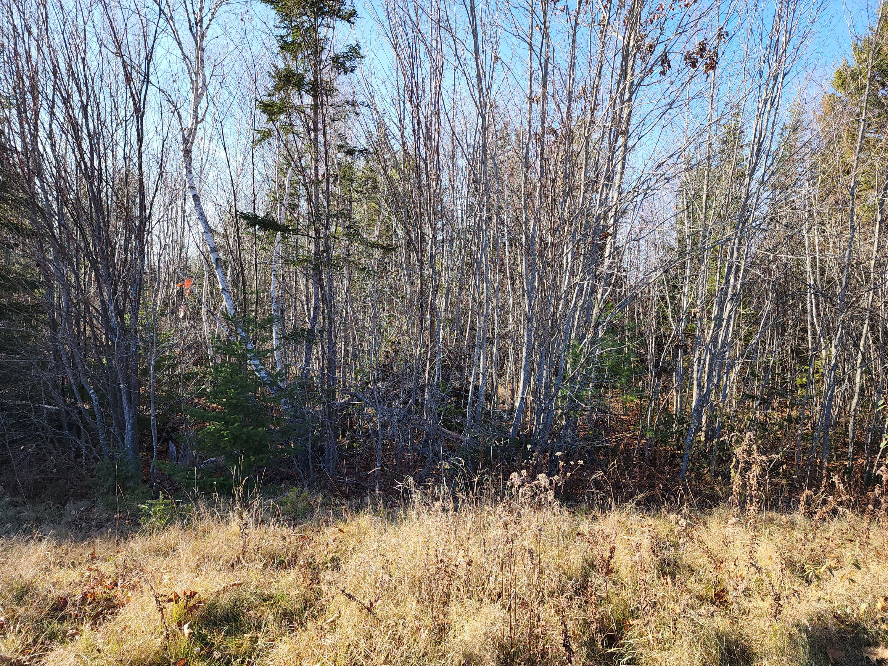 40 Sandy Ridge Lane Searsport, ME 04974 - Photo 2 of 9 20231121_131317