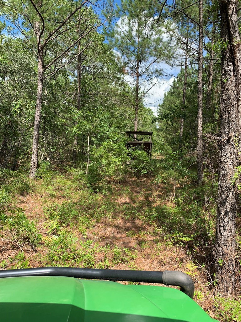 0 Paul Road Monetta, SC 29105 - Photo 14 of 14