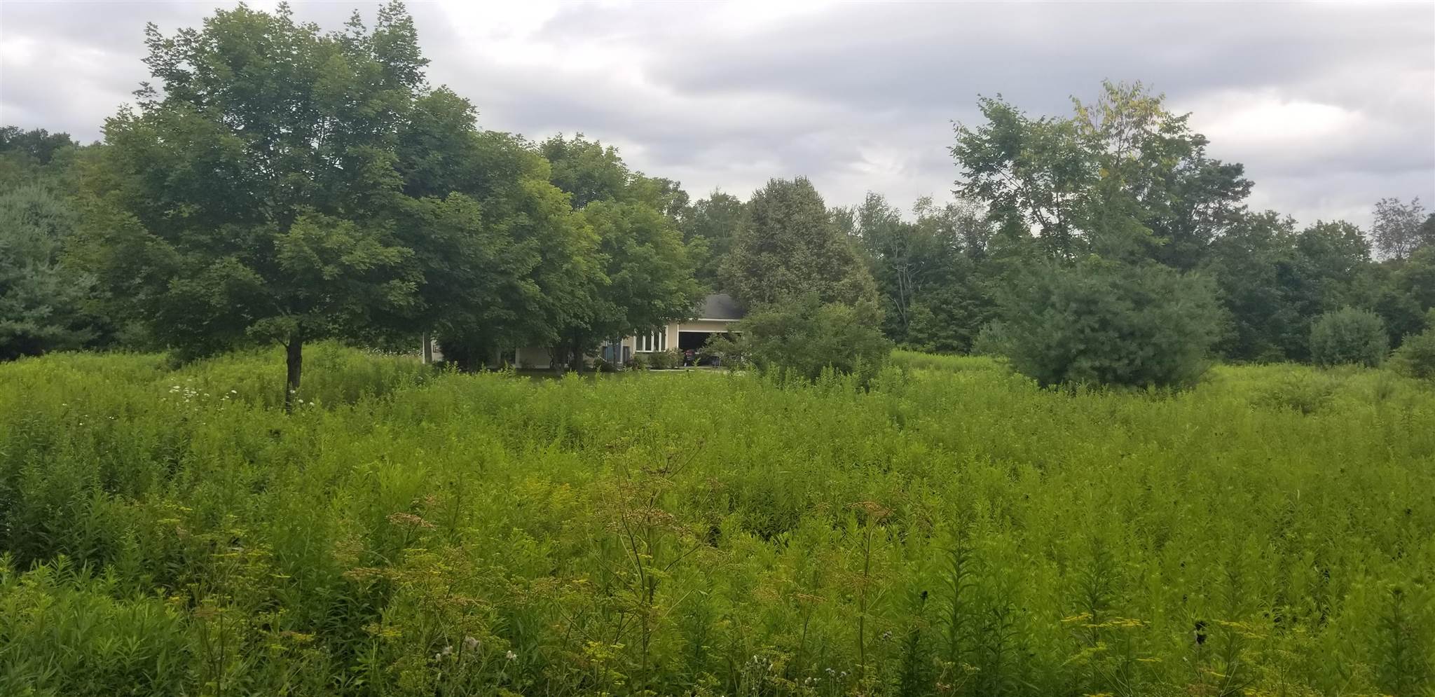 67 Niles Road Bennington, VT 05201 - Photo 13 of 30