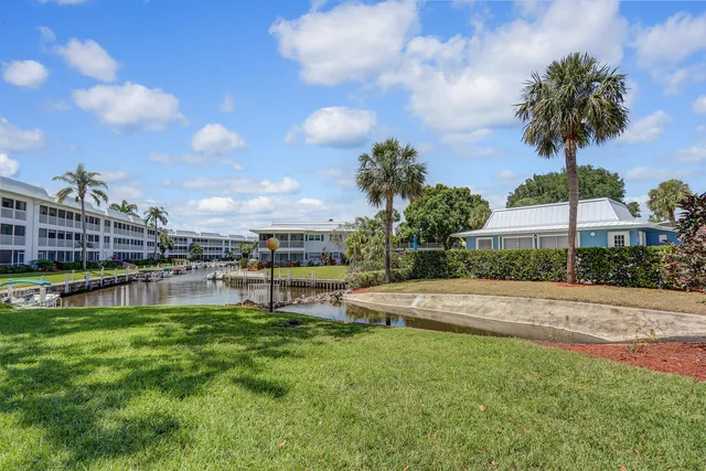 a garden with palm trees