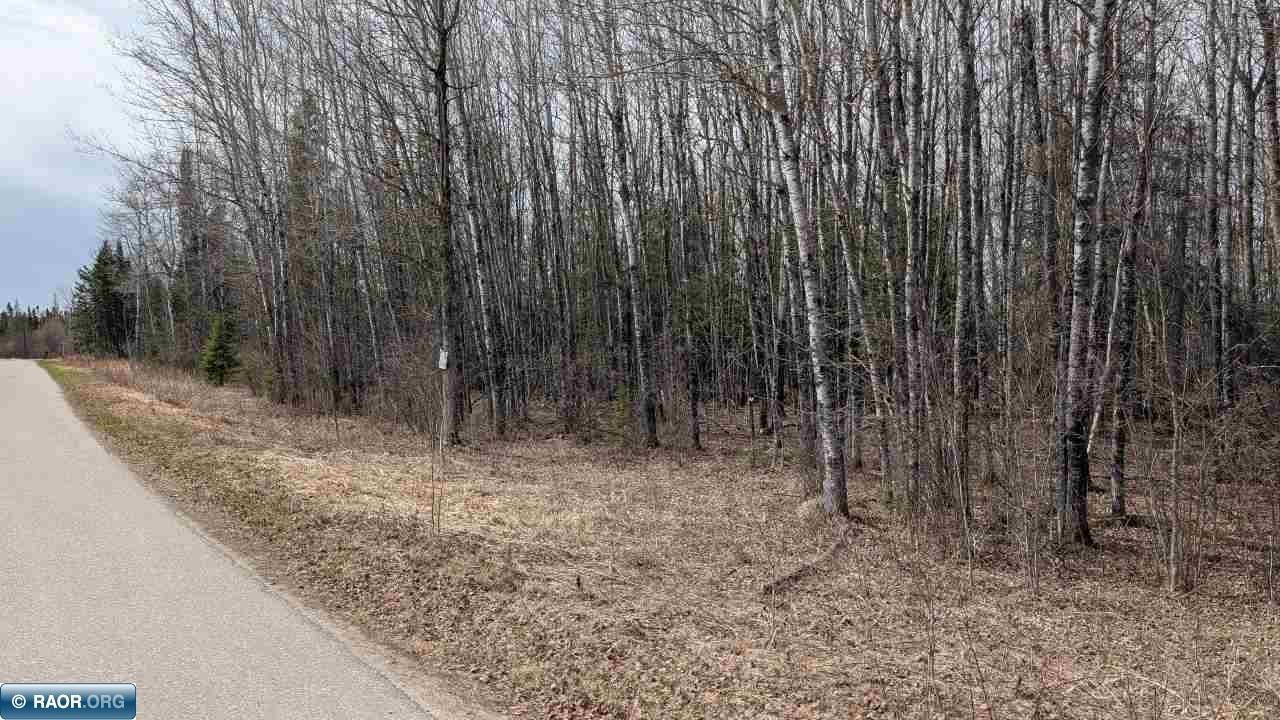 Lot 2 Lund Road Cook, MN 55723 - Photo 7 of 7
