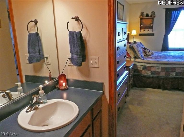42741 Webster Road Lagrange, OH 44050 - Photo 19 of 25 Gallery Image 19