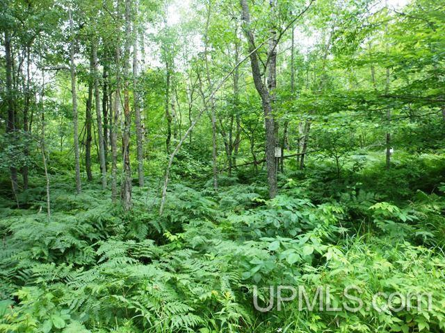 Tbd West Sunset Lake Road Iron River, MI 49935 - Photo 2 of 8