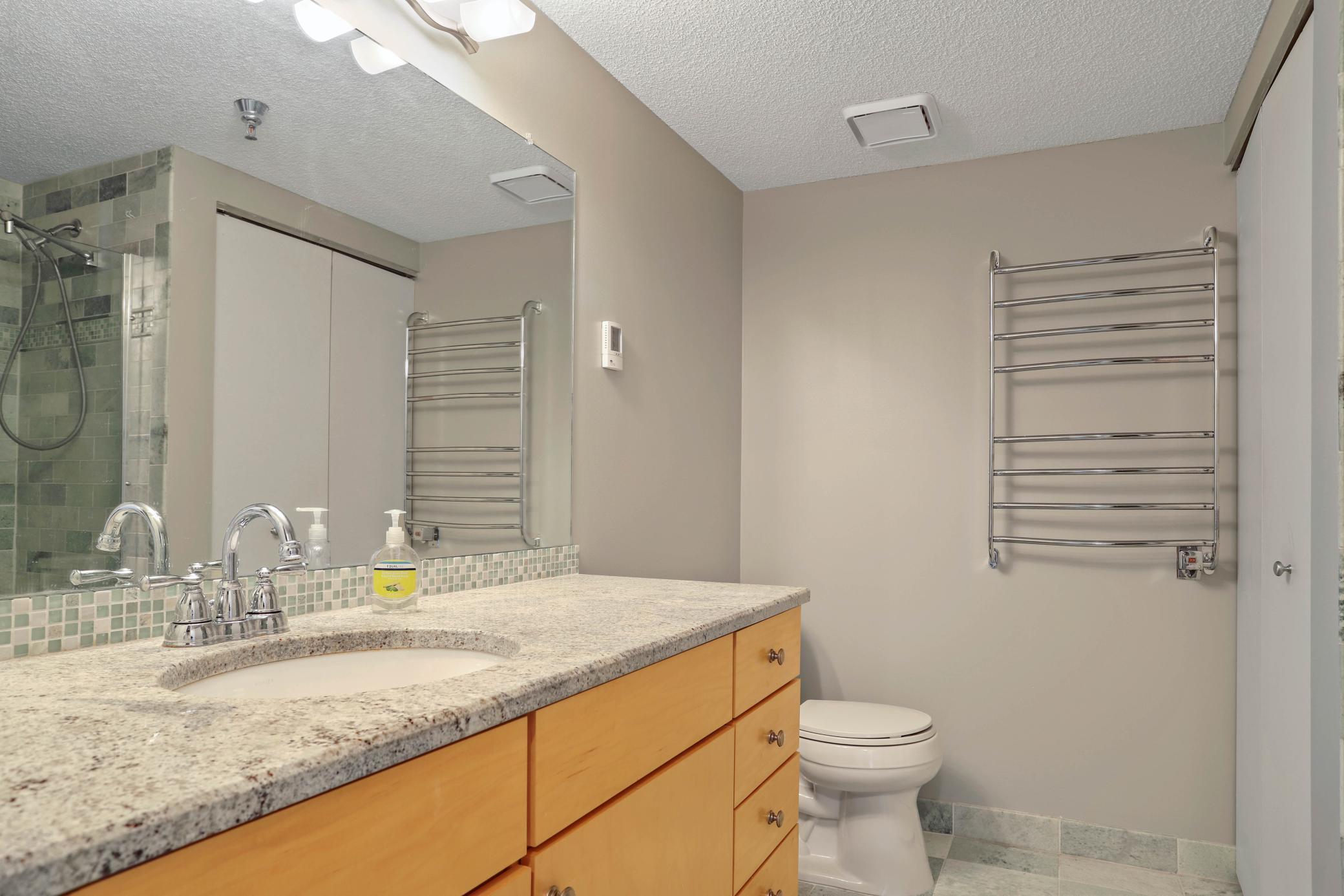 401 South 1st Street, Unit 902 Minneapolis, MN 55401 - Photo 12 of 42