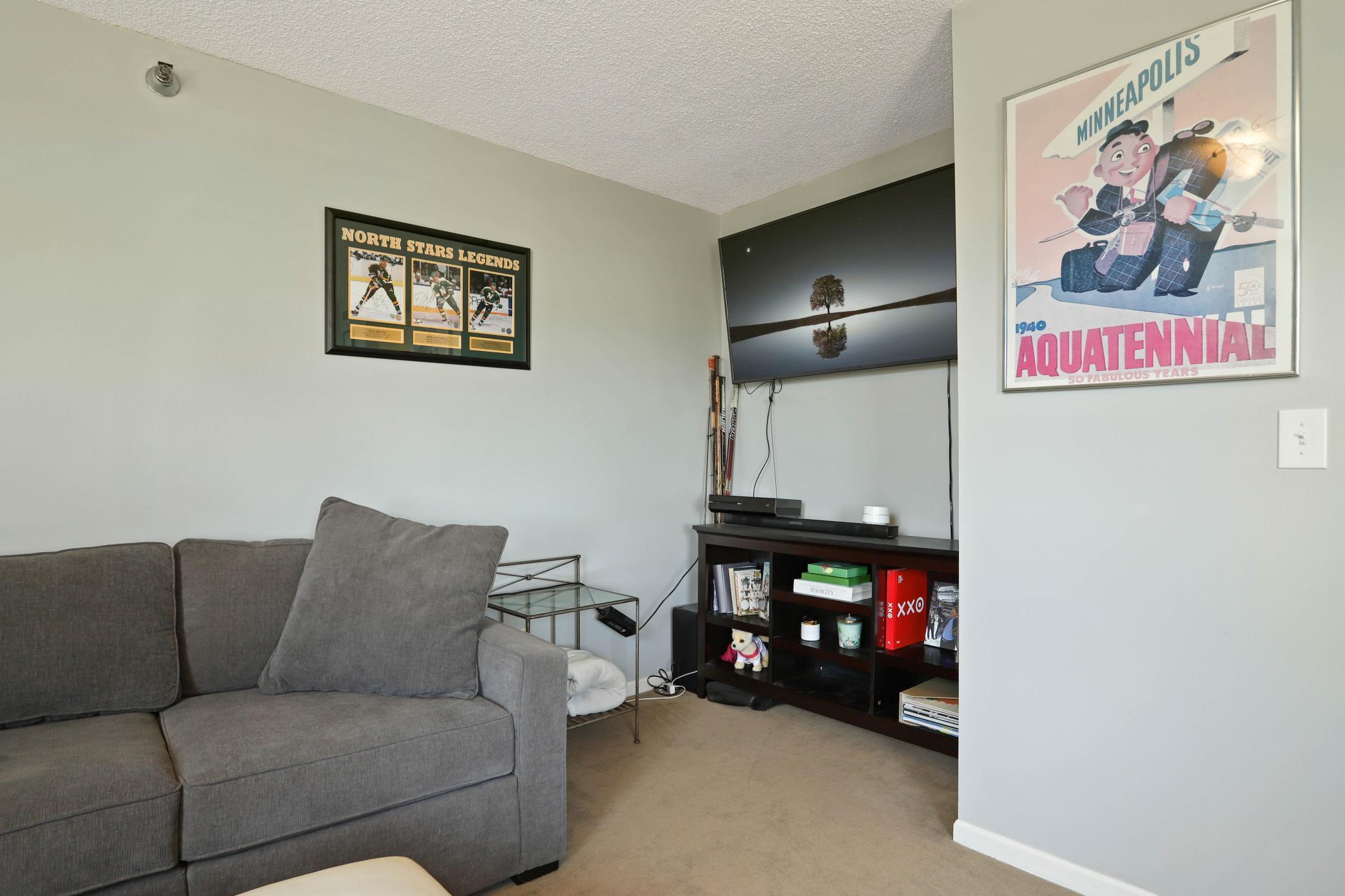 401 South 1st Street, Unit 902 Minneapolis, MN 55401 - Photo 17 of 42