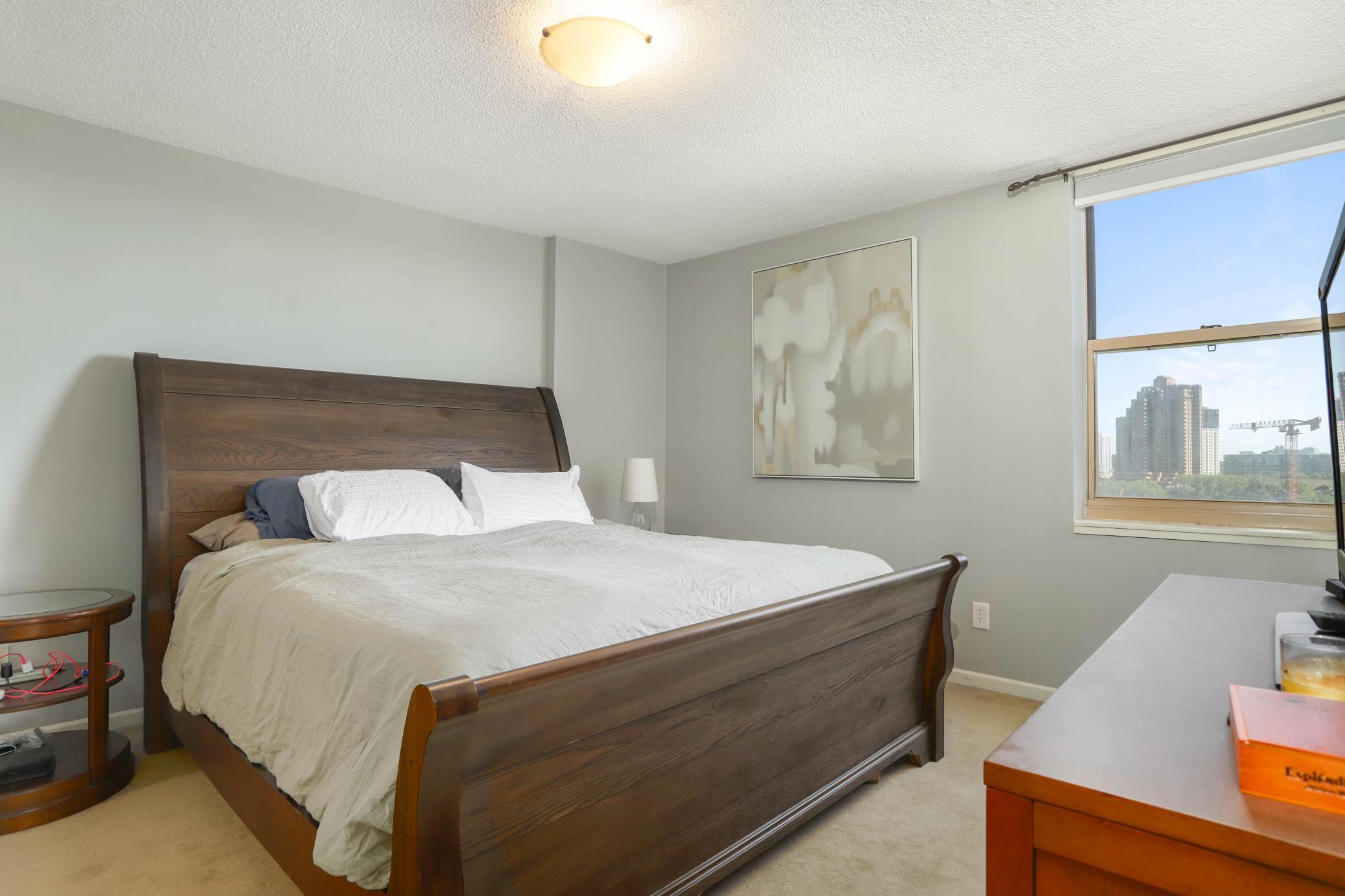 401 South 1st Street, Unit 902 Minneapolis, MN 55401 - Photo 9 of 42